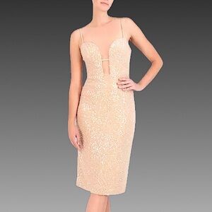 NWT BCBGMAXAZRIA Champagne Sequin Plunge Neck Cocktail Dress‎ Sz 2